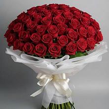 Букет 101 Красная роза Блэк Мэджик в Беленькое