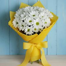 Букет цветов из:  Хризантемы в Беленькое
