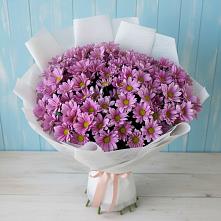 Букет цветов из:  Хризантемы в Беленькое