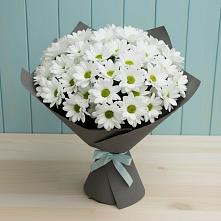 Букет цветов из:  Хризантемы #REPLACE_PRED# Беленькое