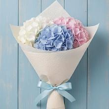 Букет цветов из:  Гортензия в Беленькое