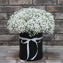 Цветочная композиция из Гипсофила в шляпной коробке #REPLACE_PRED# Беленькое