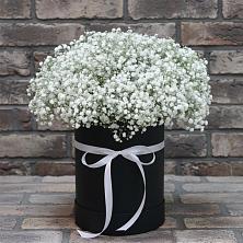 Цветочная композиция из Гипсофила в шляпной коробке в Беленькое
